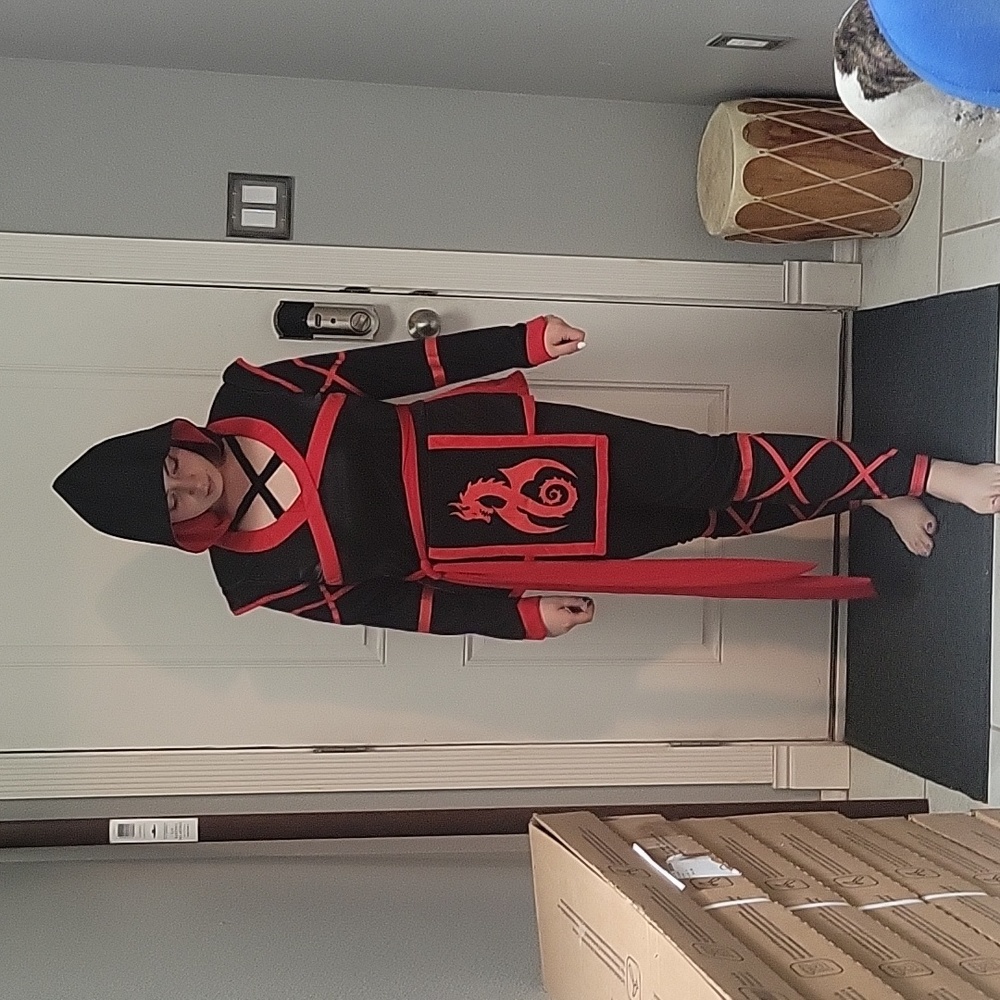 Women's ninja costumes